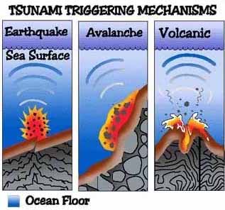 Tsunami Reasons