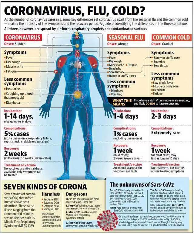 Corona Virus Details