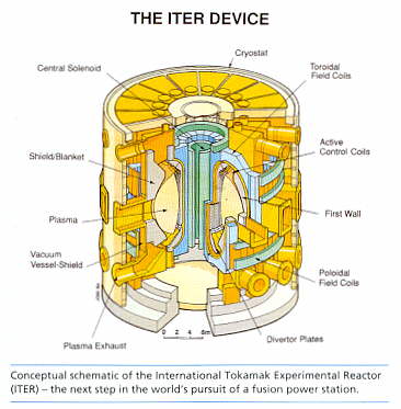Tokamak Reactor