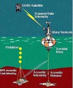 Tsunami Warning System