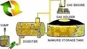 Bio Gas