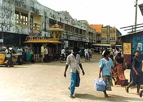 Jaffna Scene